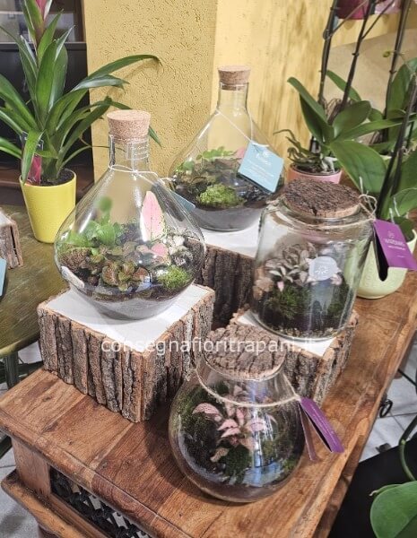 terrarium giardini in vetro