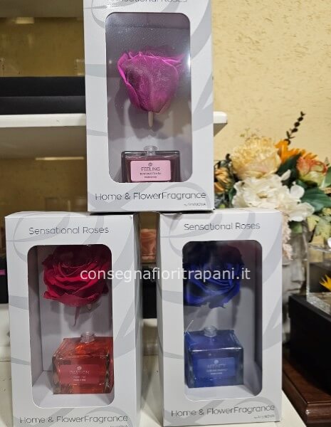 Flowers & fragrance roses