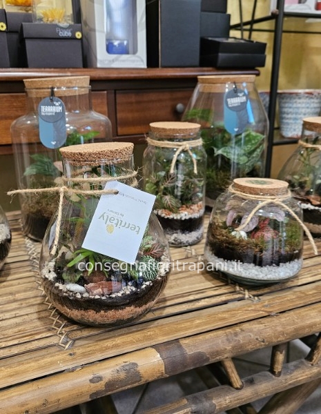 Terrarium 